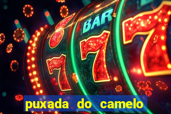 puxada do camelo jogo do bicho