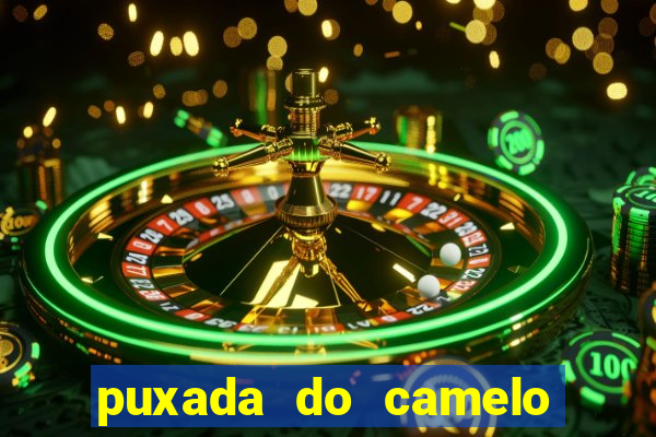 puxada do camelo jogo do bicho