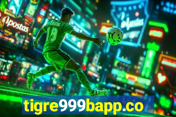 tigre999bapp.com