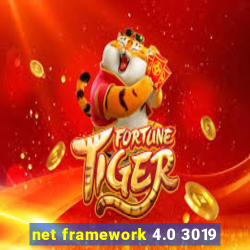 net framework 4.0 3019