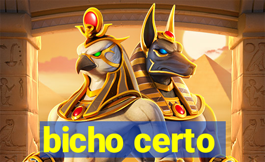 bicho certo