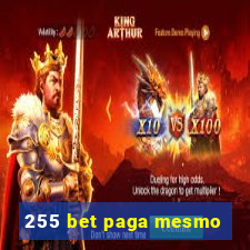 255 bet paga mesmo