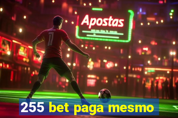 255 bet paga mesmo