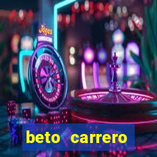 beto carrero cidades proximas