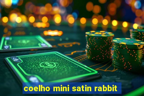 coelho mini satin rabbit