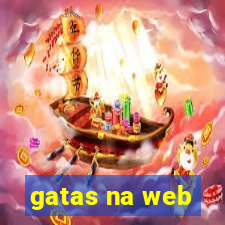 gatas na web