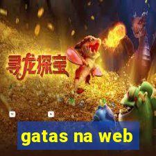 gatas na web