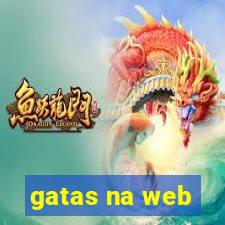 gatas na web