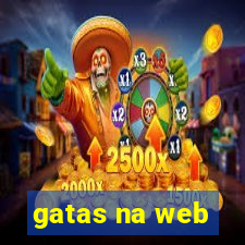 gatas na web