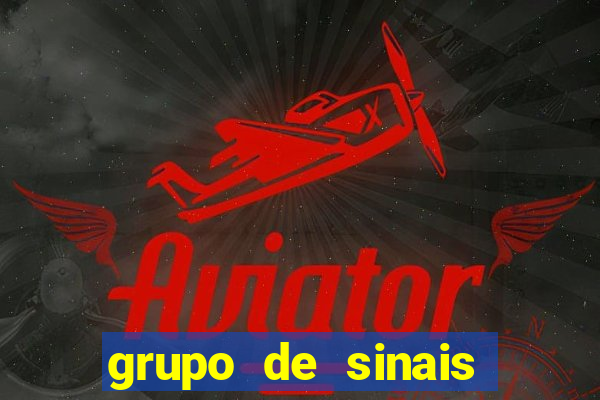 grupo de sinais fortune rabbit