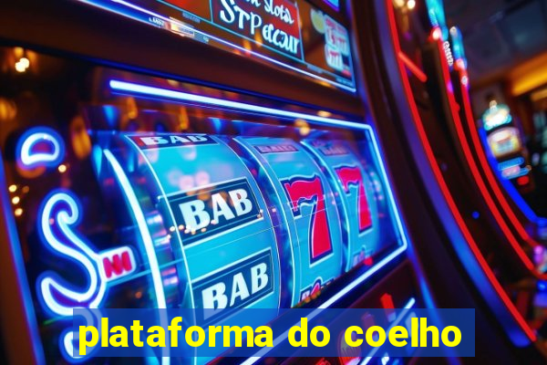 plataforma do coelho