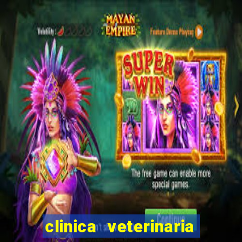 clinica veterinaria cuidar betim