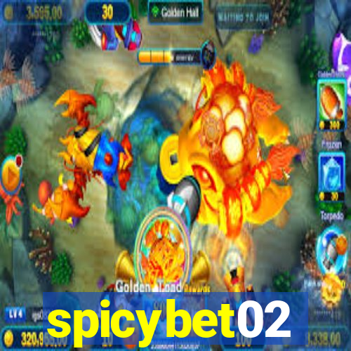 spicybet02