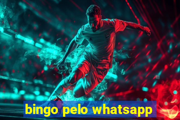 bingo pelo whatsapp