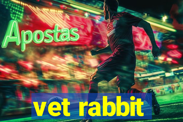 vet rabbit