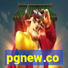 pgnew.co