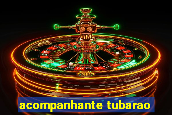 acompanhante tubarao