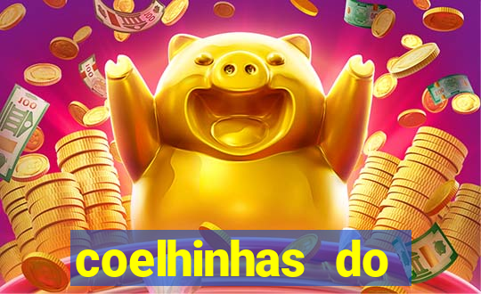 coelhinhas do brasil site