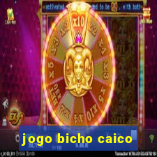 jogo bicho caico