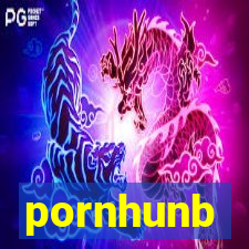 pornhunb