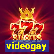 videogay