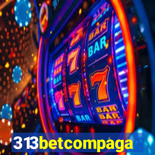 313betcompaga