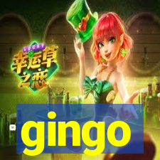 gingo