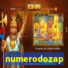 numerodozap