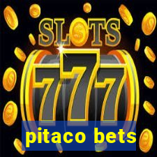 pitaco bets