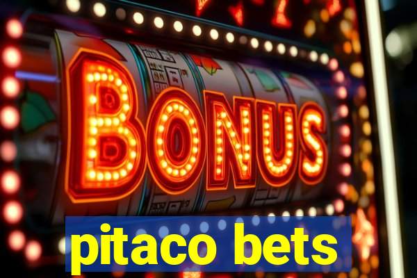 pitaco bets