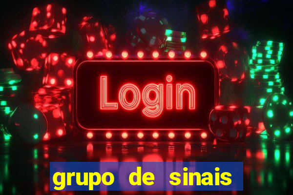 grupo de sinais trader telegram