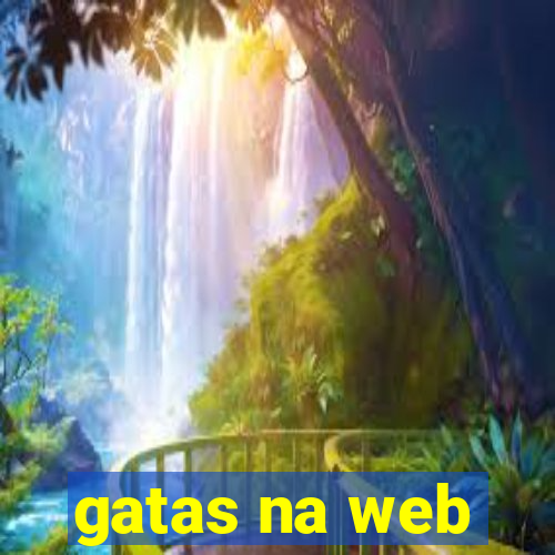 gatas na web