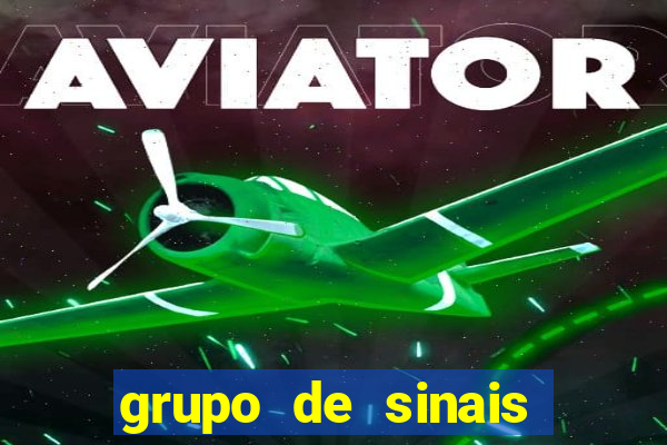 grupo de sinais fortune rabbit