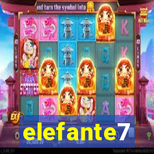 elefante7