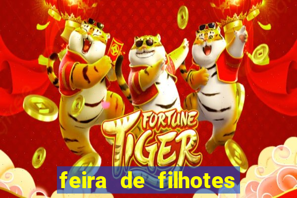 feira de filhotes porto alegre