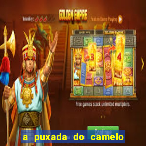 a puxada do camelo no jogo do bicho