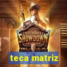 teca matriz