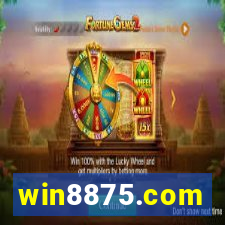 win8875.com