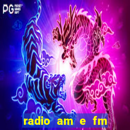 radio am e fm casas bahia