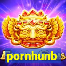 pornhunb