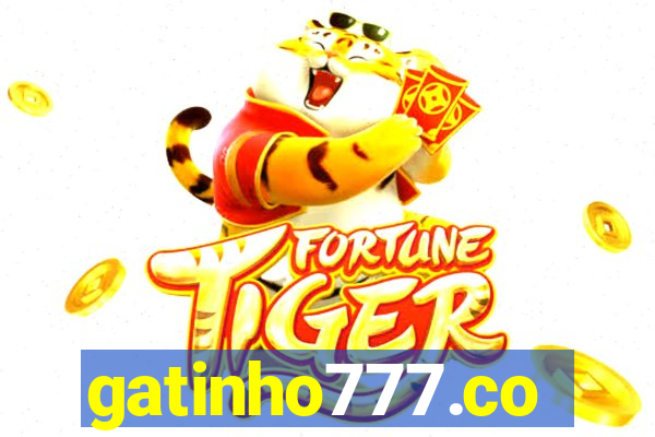 gatinho777.co