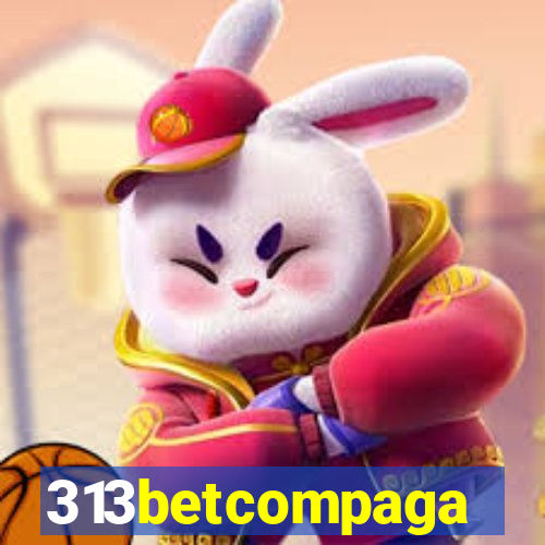 313betcompaga