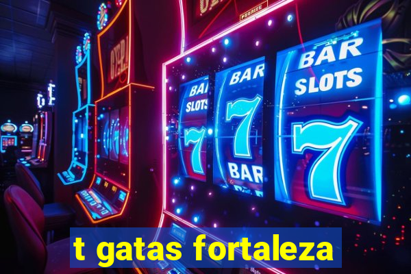 t gatas fortaleza