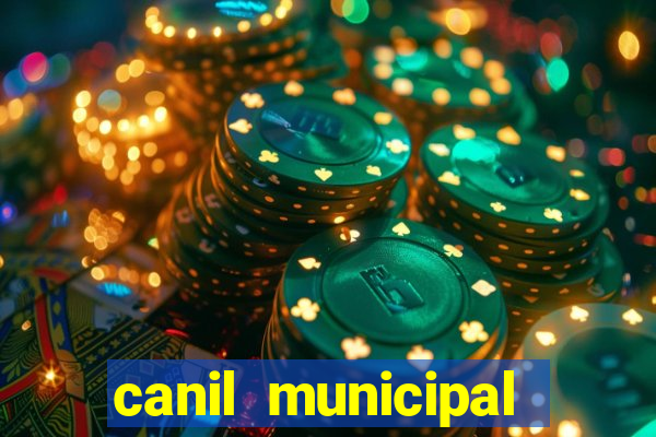 canil municipal porto alegre