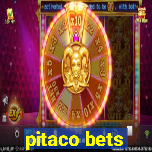 pitaco bets