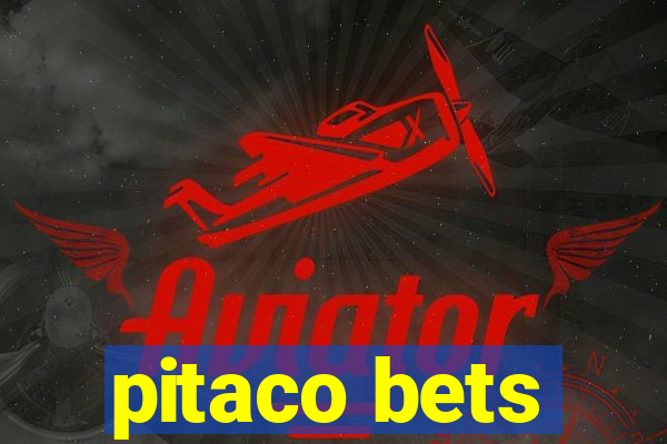 pitaco bets